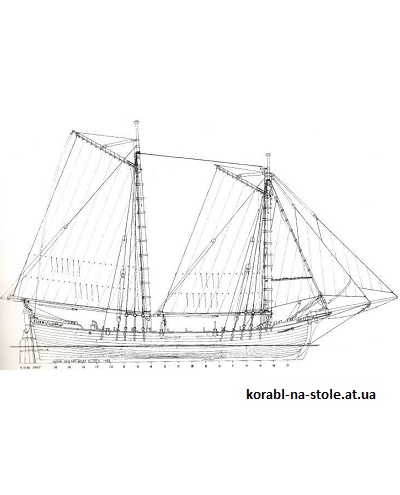 Elgen 1769г.